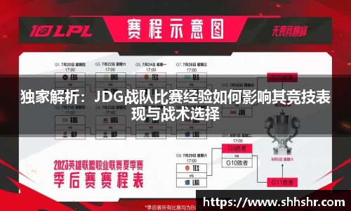 独家解析：JDG战队比赛经验如何影响其竞技表现与战术选择